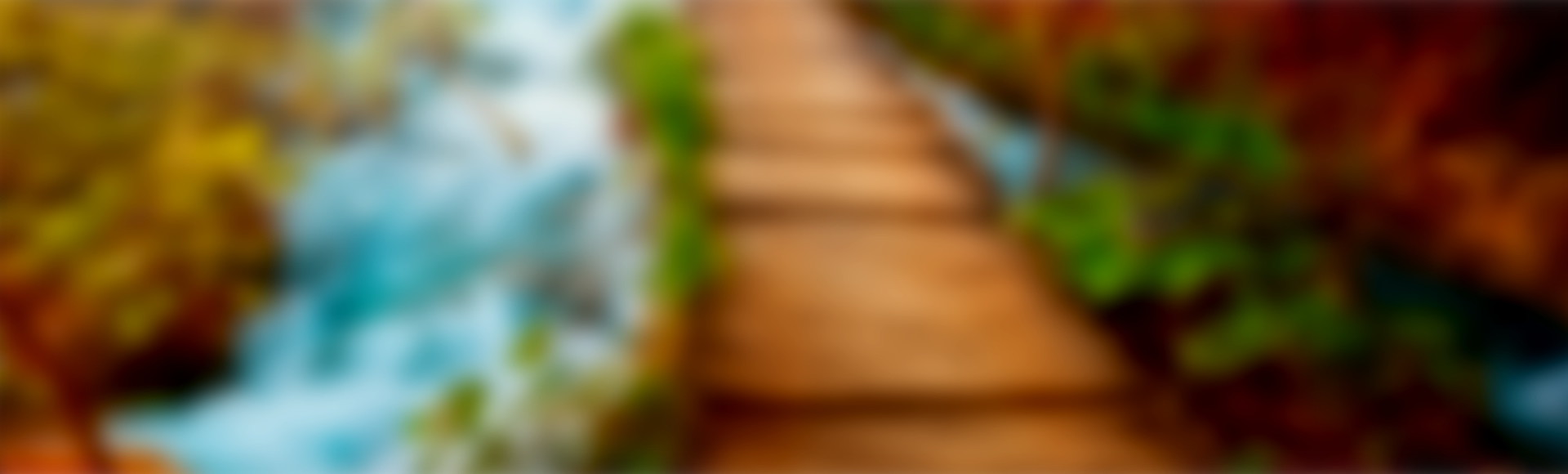 #caption3 High-Quality Publications